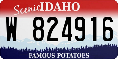 ID license plate W824916