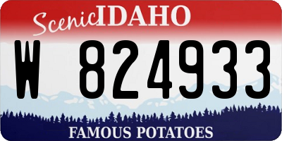 ID license plate W824933