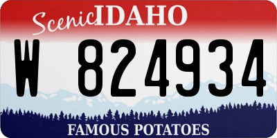 ID license plate W824934