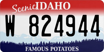 ID license plate W824944