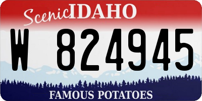 ID license plate W824945