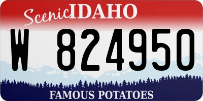 ID license plate W824950