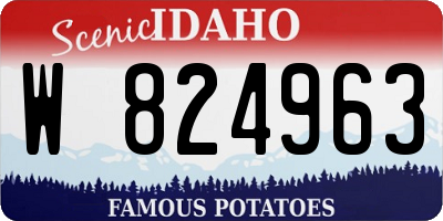 ID license plate W824963