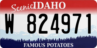ID license plate W824971