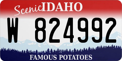 ID license plate W824992
