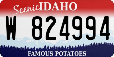 ID license plate W824994