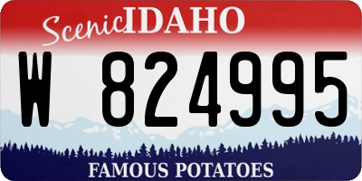 ID license plate W824995