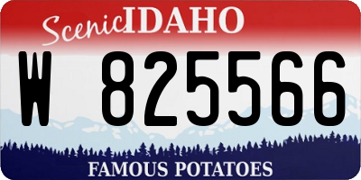 ID license plate W825566