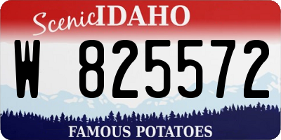 ID license plate W825572