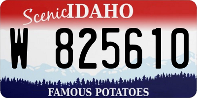 ID license plate W825610