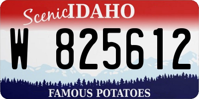 ID license plate W825612