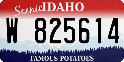 ID license plate W825614
