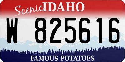 ID license plate W825616