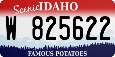 ID license plate W825622