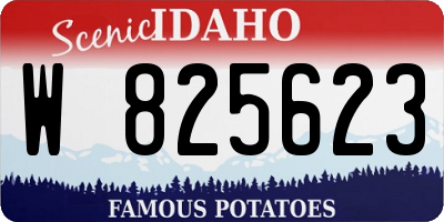 ID license plate W825623