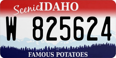 ID license plate W825624