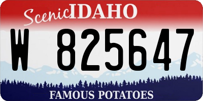 ID license plate W825647