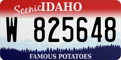 ID license plate W825648