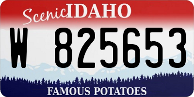 ID license plate W825653