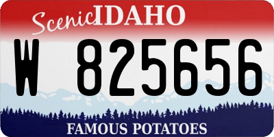 ID license plate W825656
