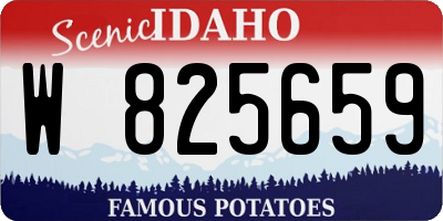 ID license plate W825659