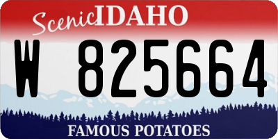 ID license plate W825664