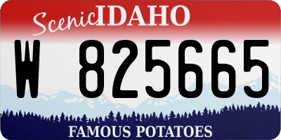 ID license plate W825665