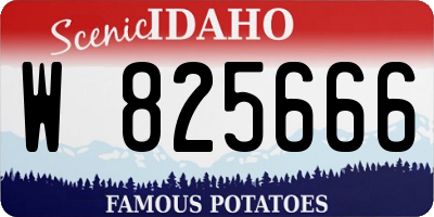 ID license plate W825666
