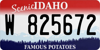 ID license plate W825672