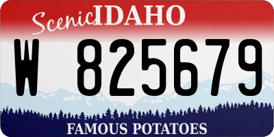 ID license plate W825679