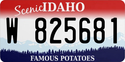 ID license plate W825681