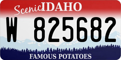 ID license plate W825682