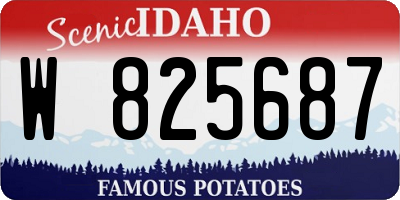 ID license plate W825687