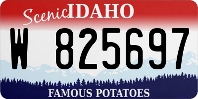 ID license plate W825697