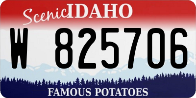 ID license plate W825706