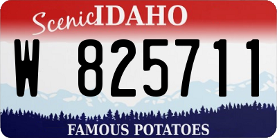 ID license plate W825711