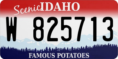 ID license plate W825713