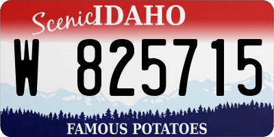 ID license plate W825715