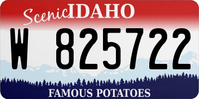 ID license plate W825722