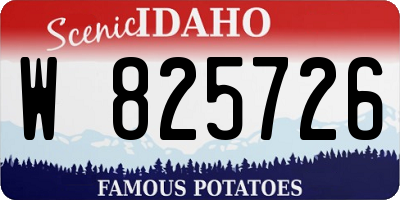 ID license plate W825726