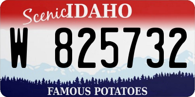 ID license plate W825732