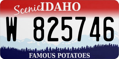 ID license plate W825746