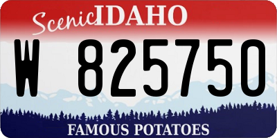 ID license plate W825750
