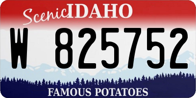 ID license plate W825752