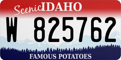 ID license plate W825762