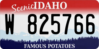 ID license plate W825766