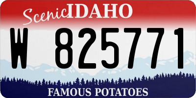 ID license plate W825771