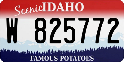 ID license plate W825772