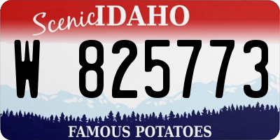 ID license plate W825773