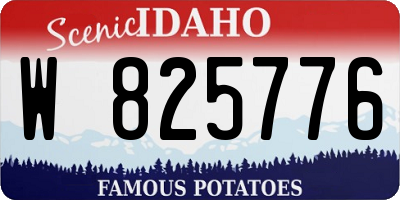 ID license plate W825776